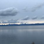 Har politikerne fått et utdannelse illebefinnende?